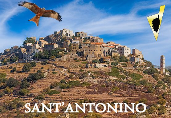 Sant' Antonino